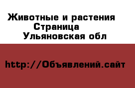  Животные и растения - Страница 42 . Ульяновская обл.